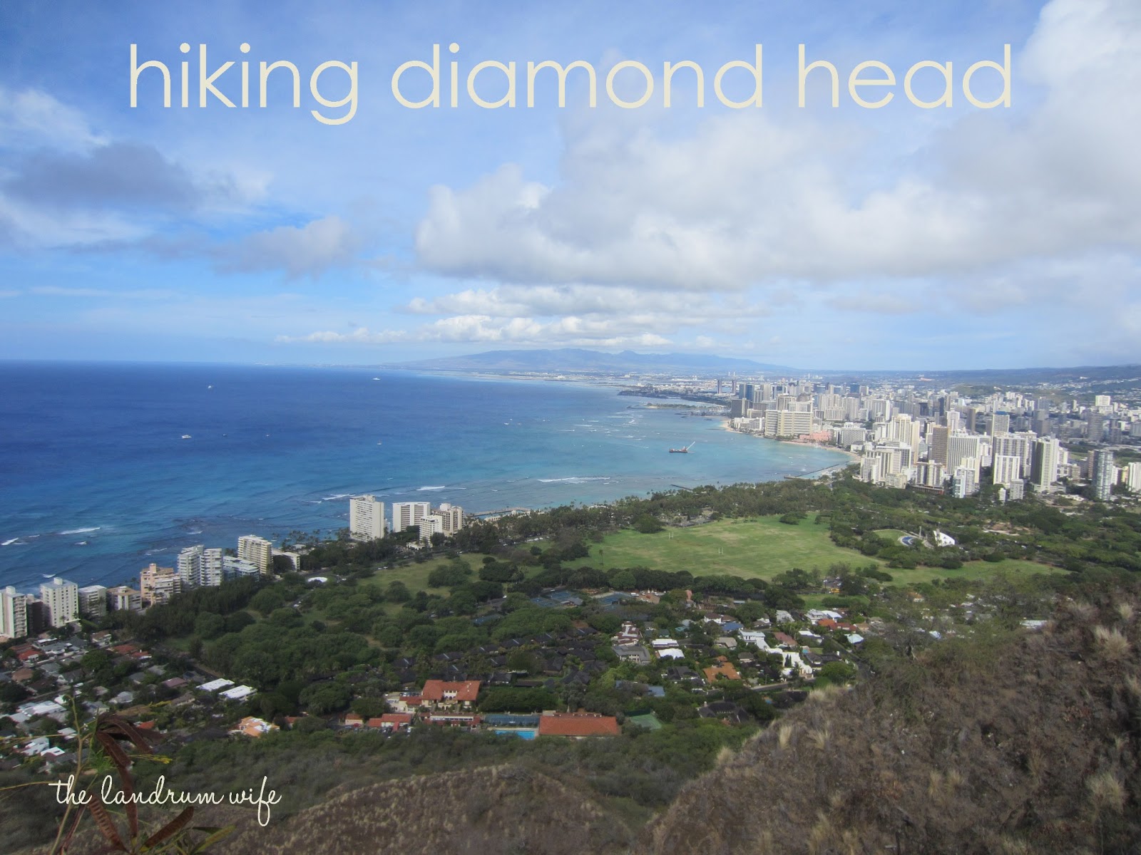 Diamond Head Dog Park Diamond Head Dog Park