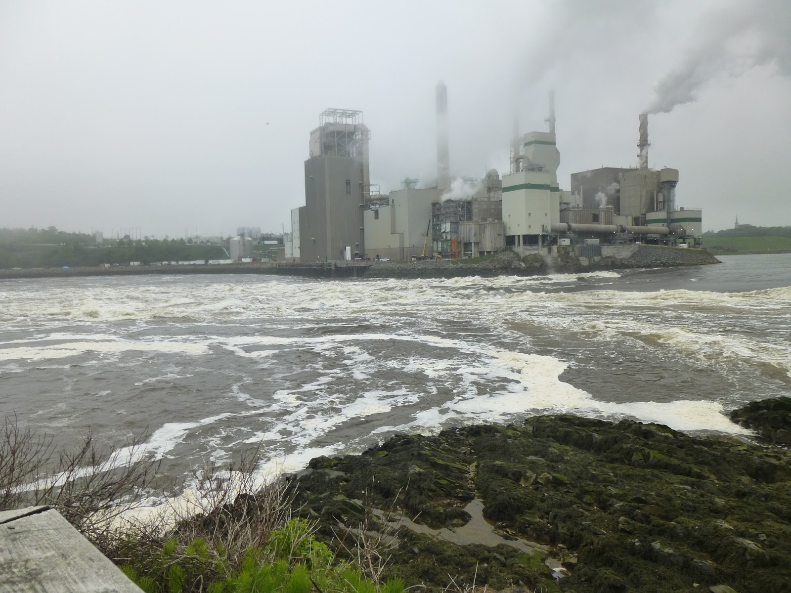 Photoops Official Tourism Attraction Reversing Rapids St. John, NB