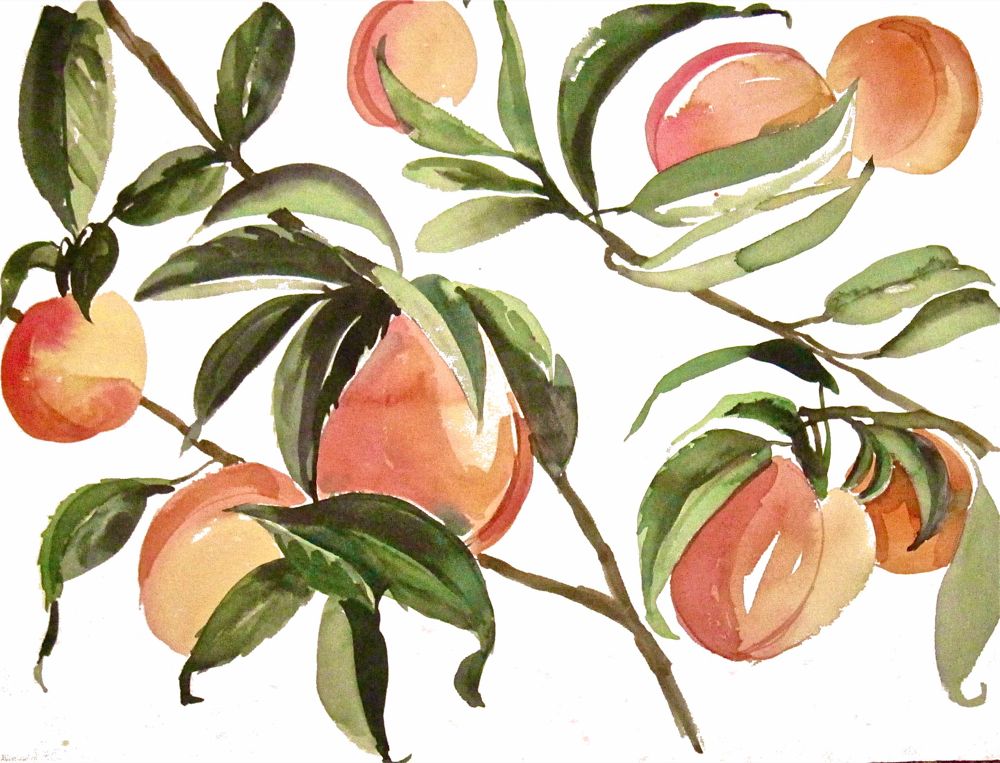 another LOOK Peach Branches 2 watercolor fruit by Gretchen Kelly