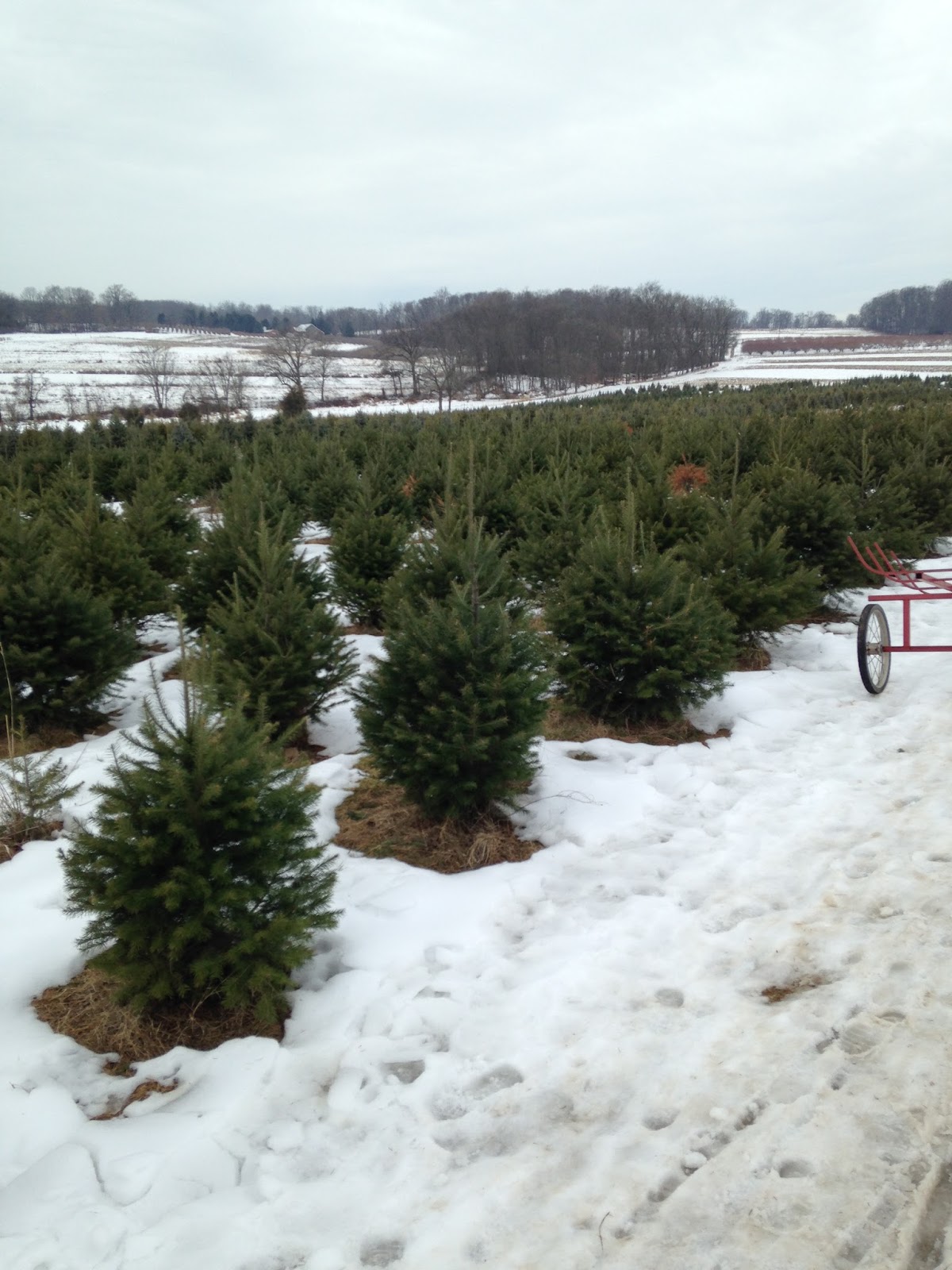 PA Holiday Bucket List 13 Places You Have to Check Out Interesting