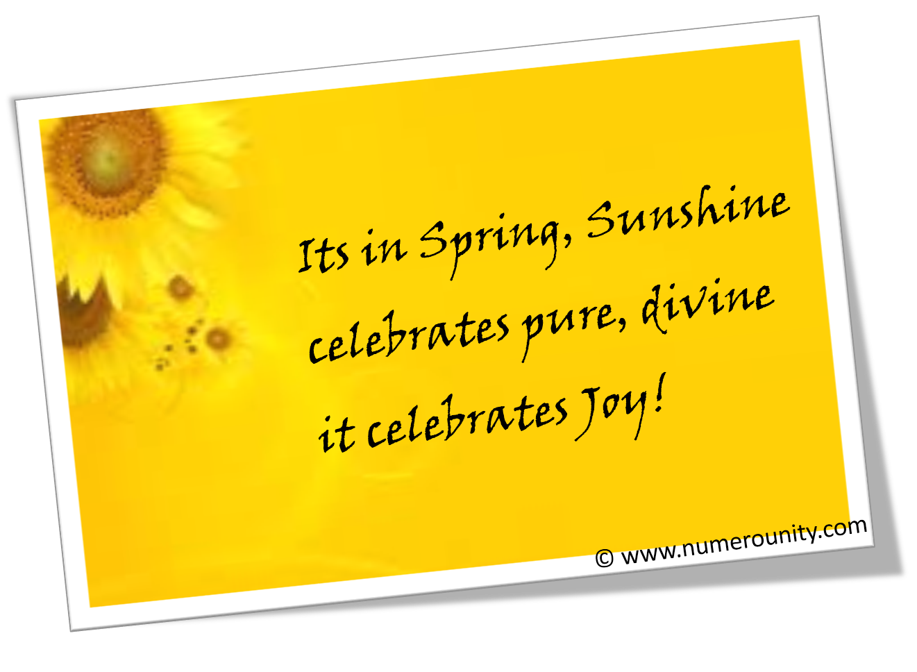 My favorite color is white essay picture