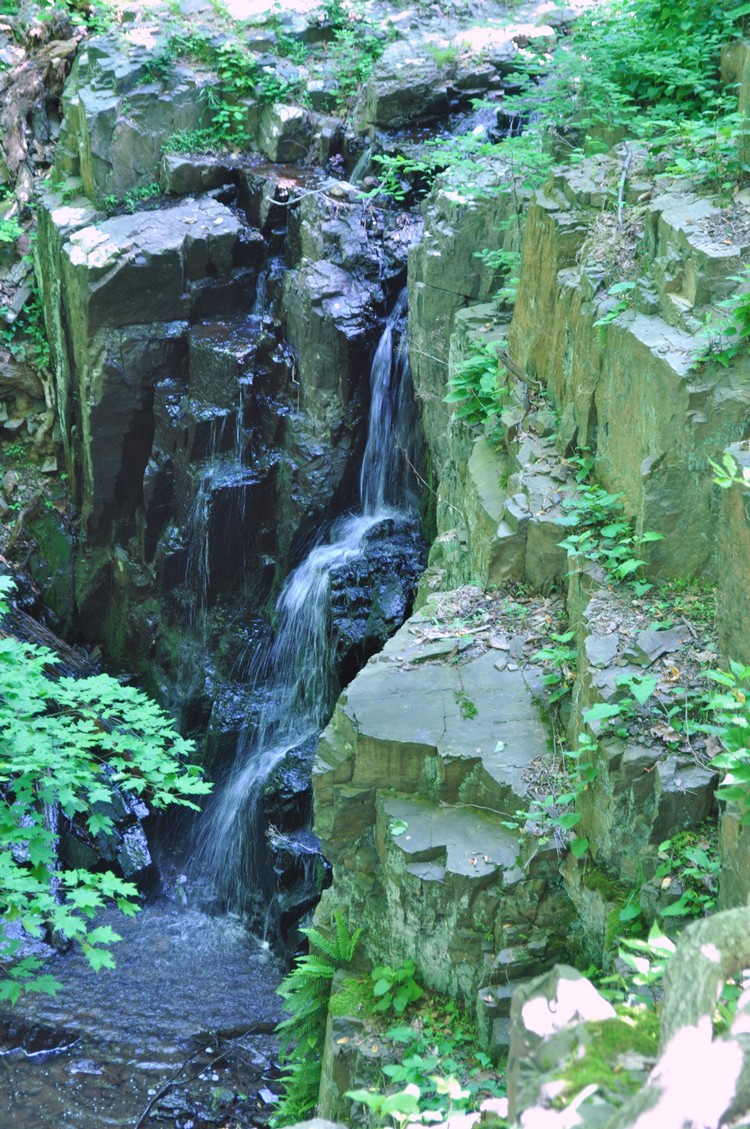 Harriman Hiker Harriman State Park and Beyond Buttermilk Falls County