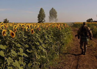 Історія молодої жінки з Маріуполя.