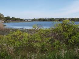 West Yarmouth, MA, U.S.A.