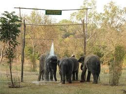 VANDALUR  ZOO