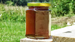 Prodej medu