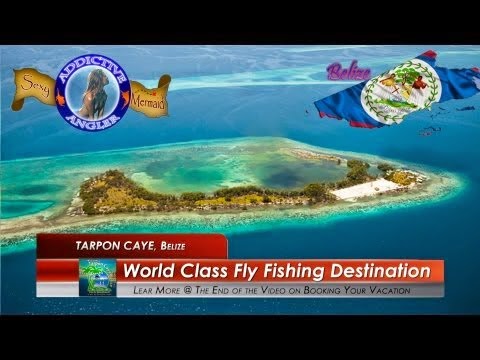 Remaxvipbelize: Tarpon Caye Fishing excursion