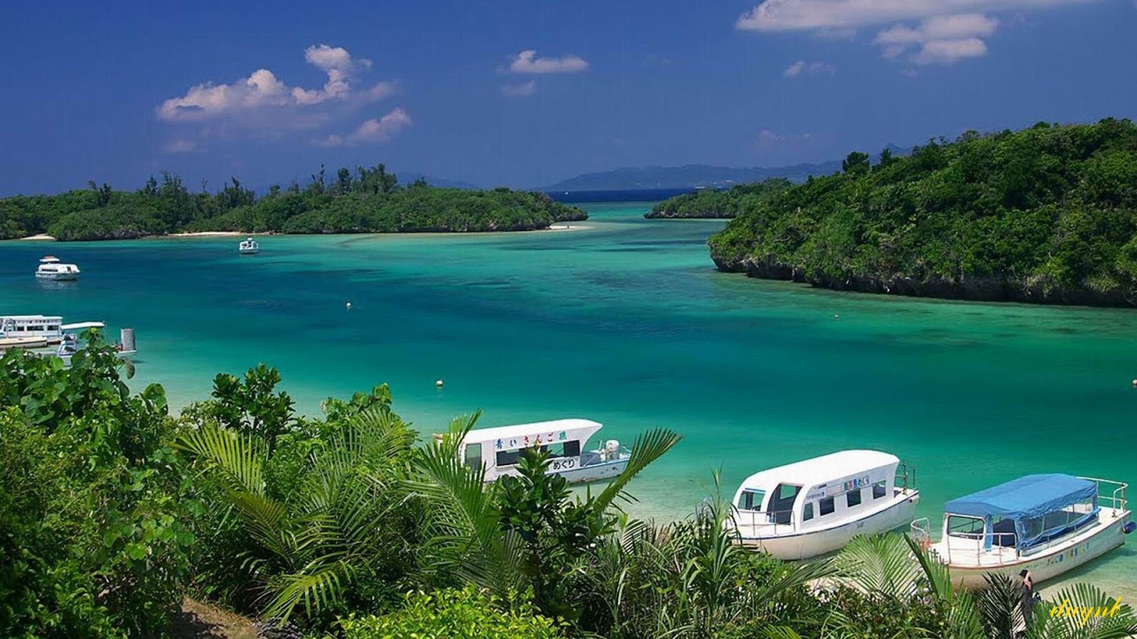 Kinh nghiệm du lịch đảo ngọc Bali 5 dao bali