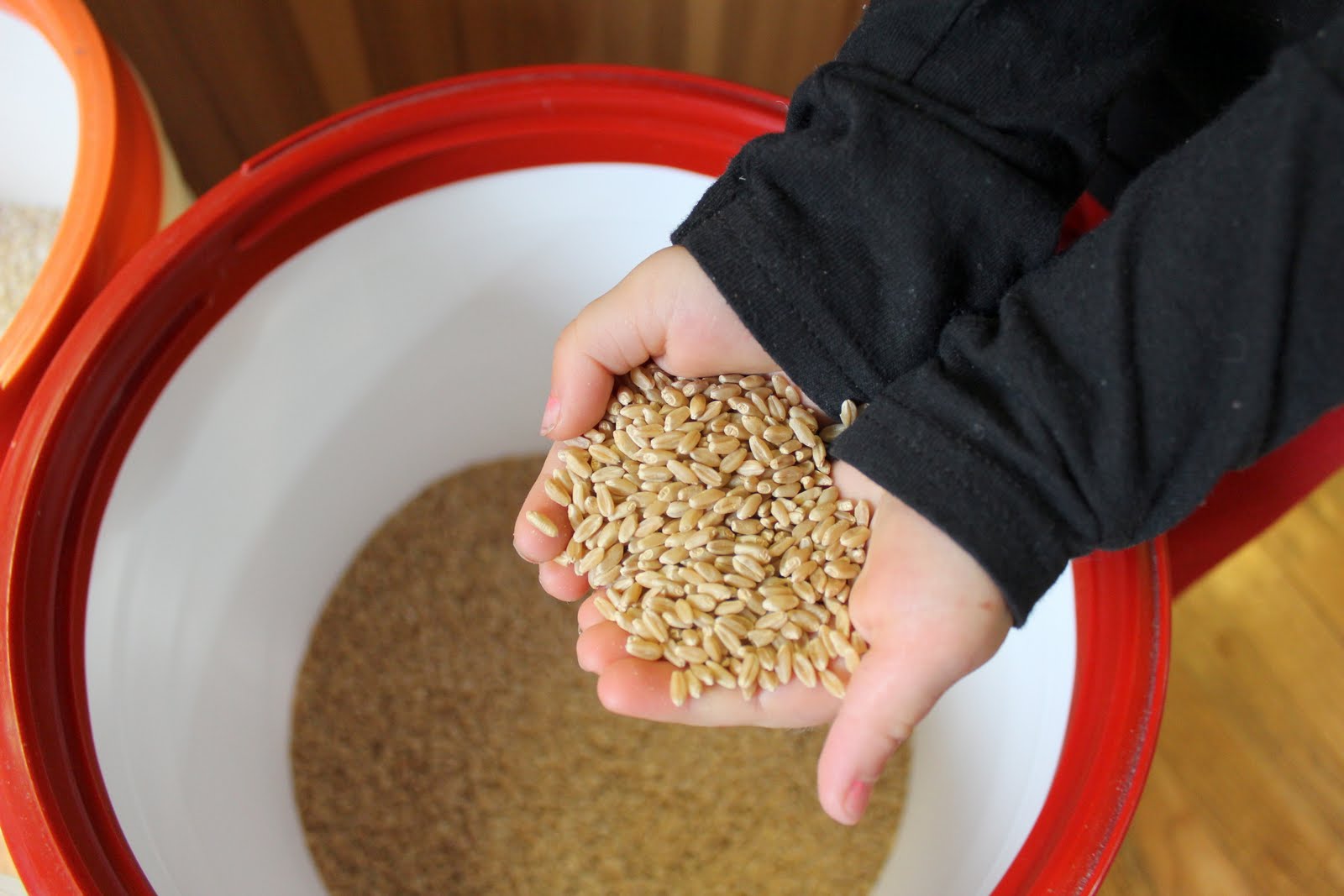 Homestead Roots Grain Buckets Wheat and Oatmeal