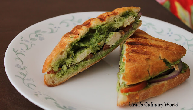 Chicken Pesto Panini