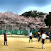 高見中学校の校庭から桜を眺める
