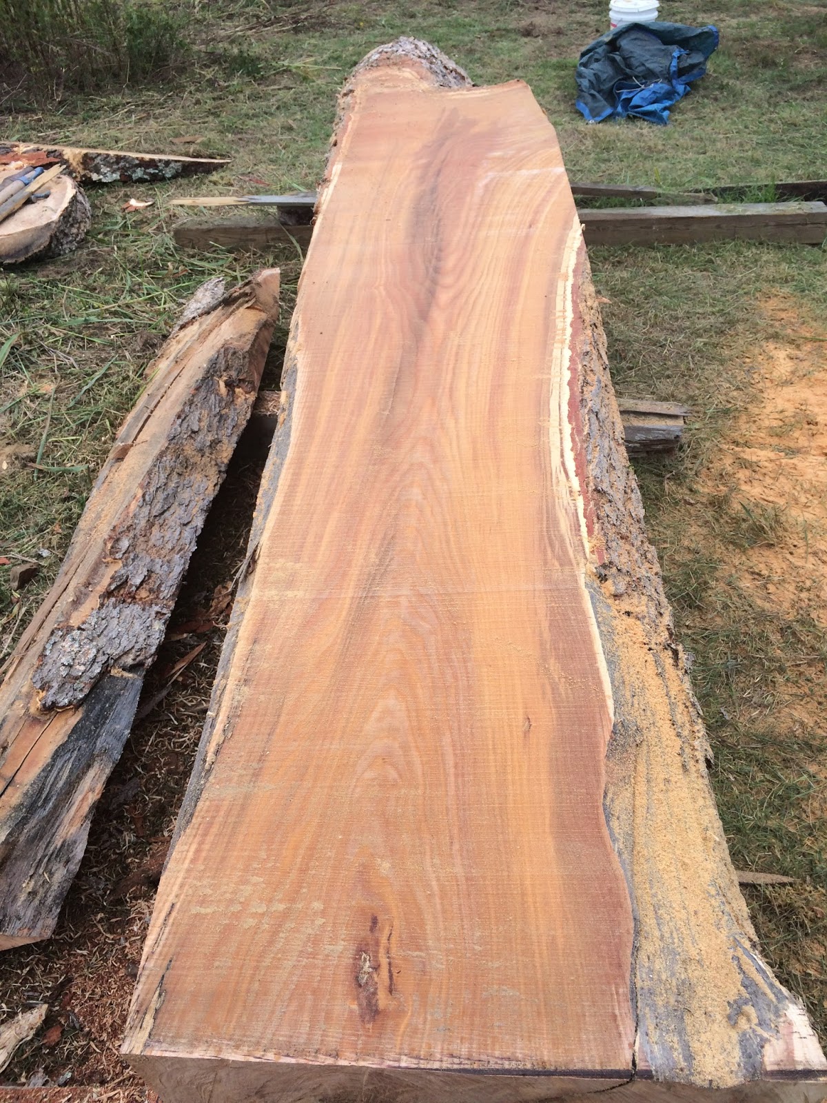 New Earth LLC: Kentucky Coffee Tree Makes Unique Furniture