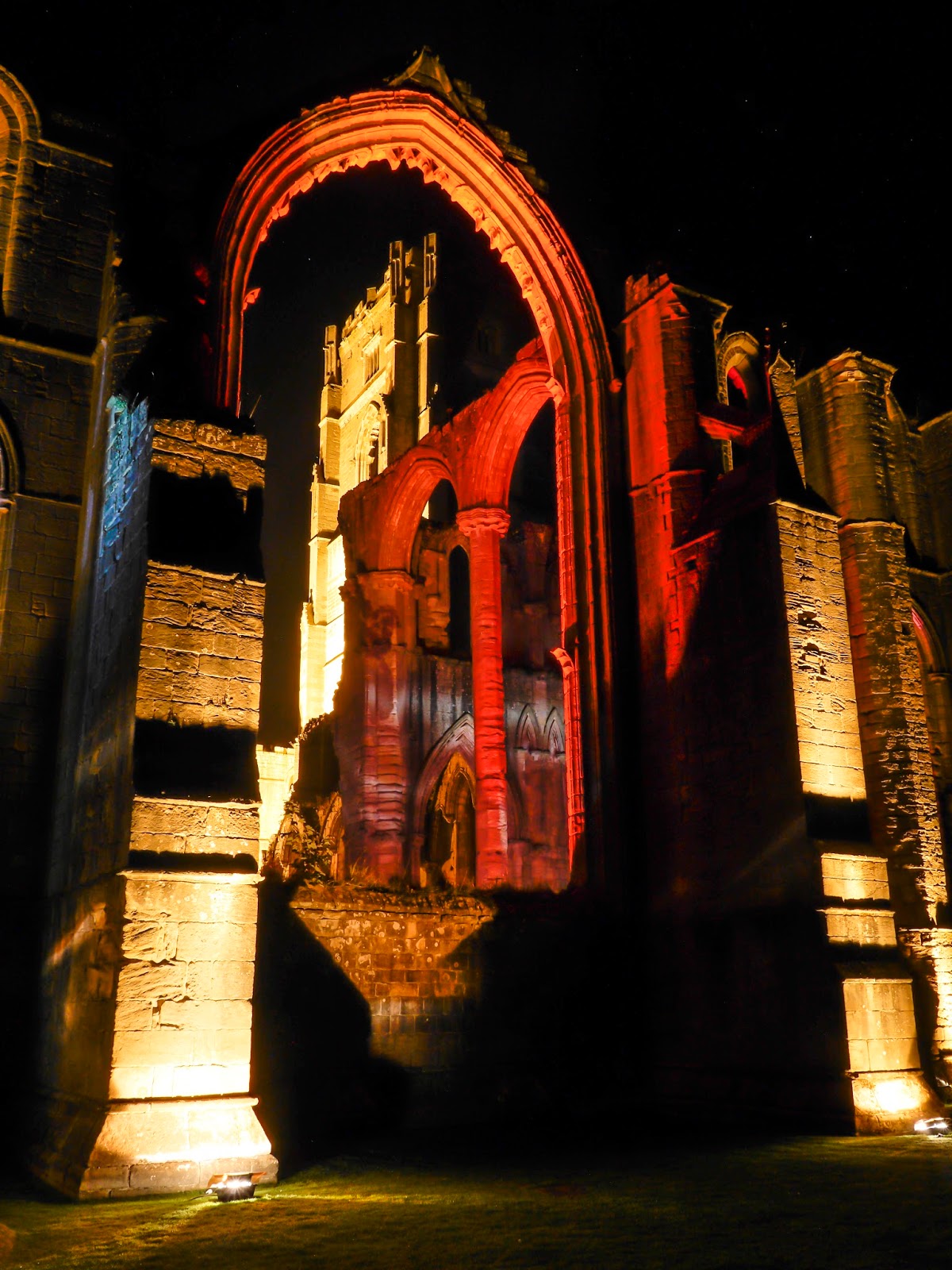 Shining a new light (Part 1)