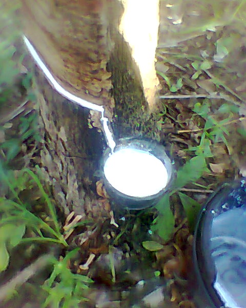 My Image 11