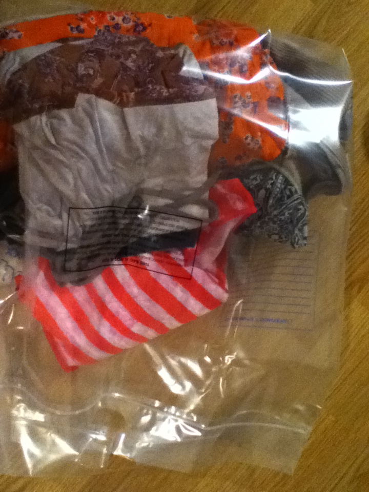 The Dividend Girl A nice finding at the Dollarama Store the Zipper Seal Giant Bags