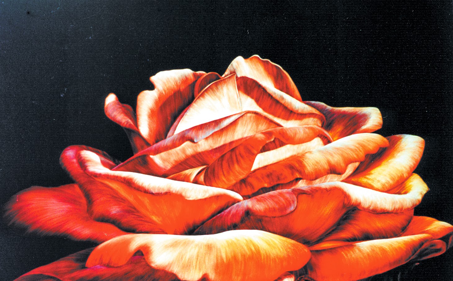 Ampersand Art Supply Scratchbord Demo with Sally Maxwell