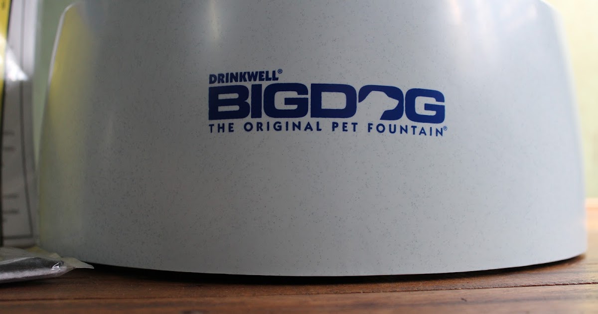 Drinkwell® Big Dog Fountain Review |The Cozy Pet Blog