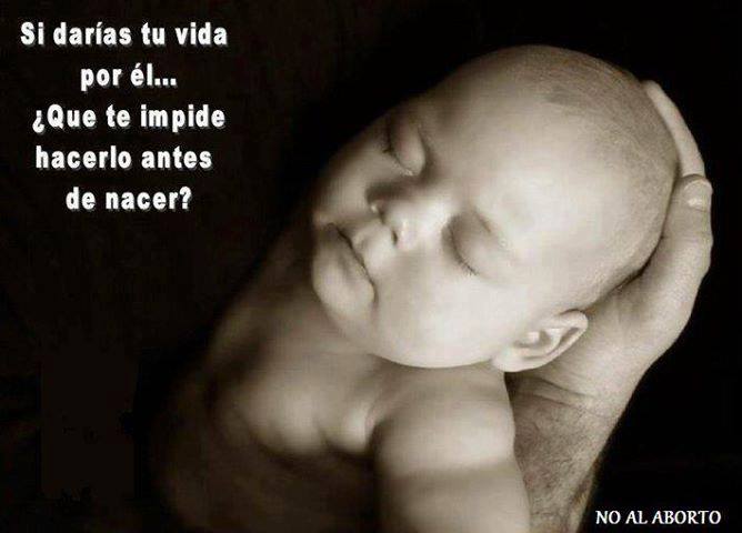 Imagenes-De-Bebes-Abortados Antes que nada, tranquilízate. Lo primero es estar bien contigo misma ...