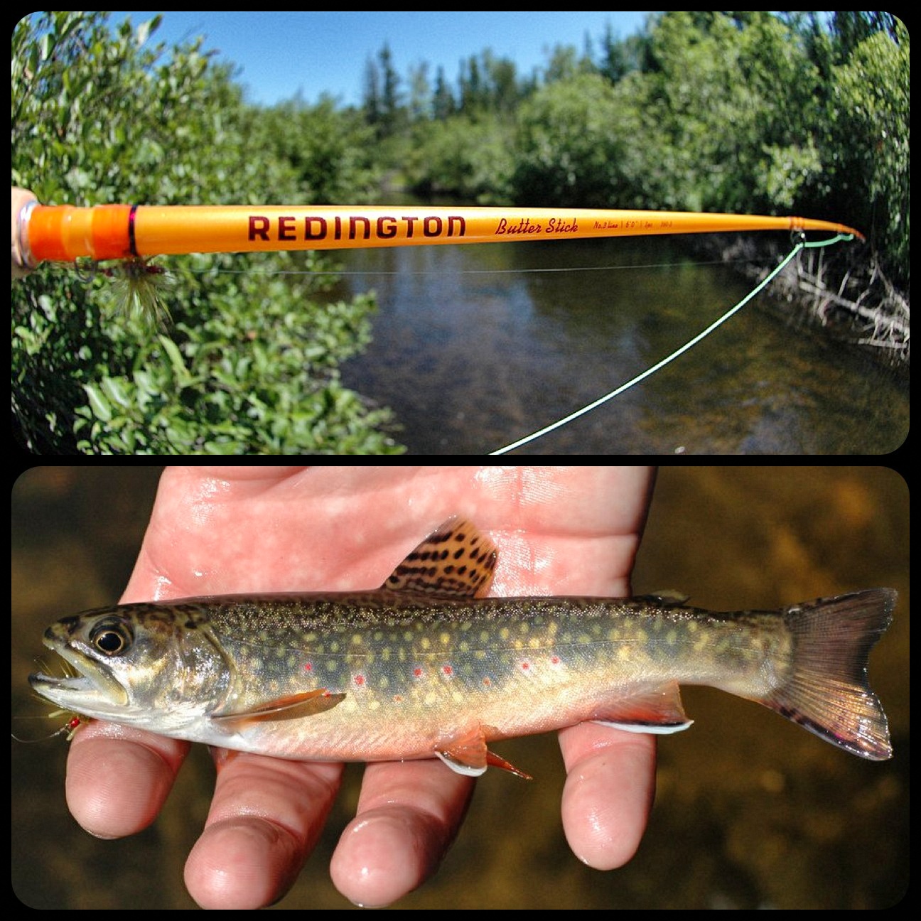 Redington Butter Stick