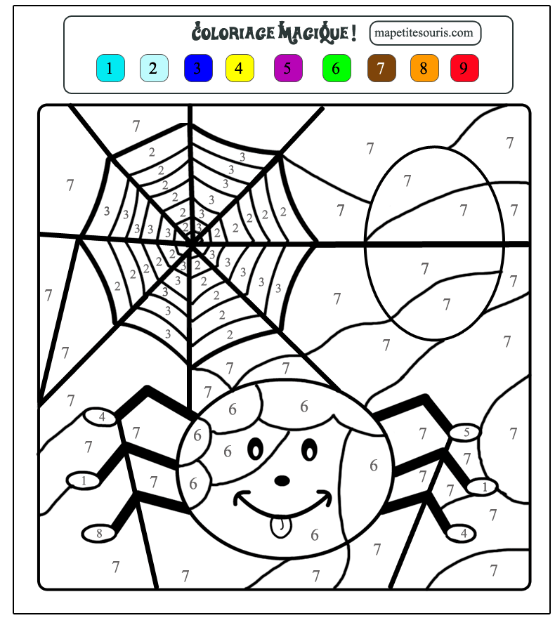 Coloriage A Imprimer Araignee
