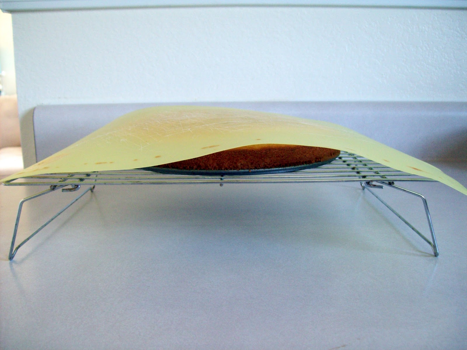 The Sexy Knitter One woman's quest for hotness, style and good design