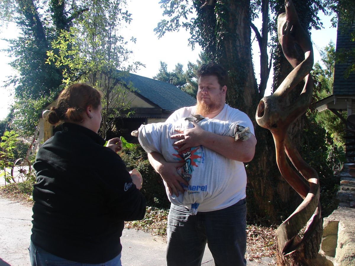 Burning Stuffed Animals