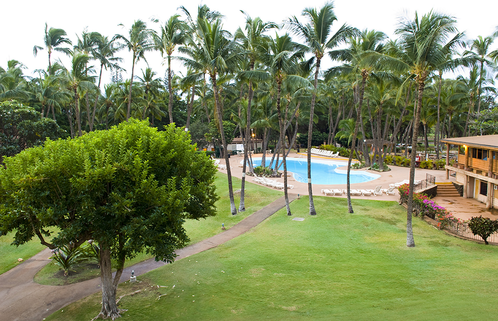 The 3 Foragers Foraging for Wild, Natural, Organic Food Wild Edibles