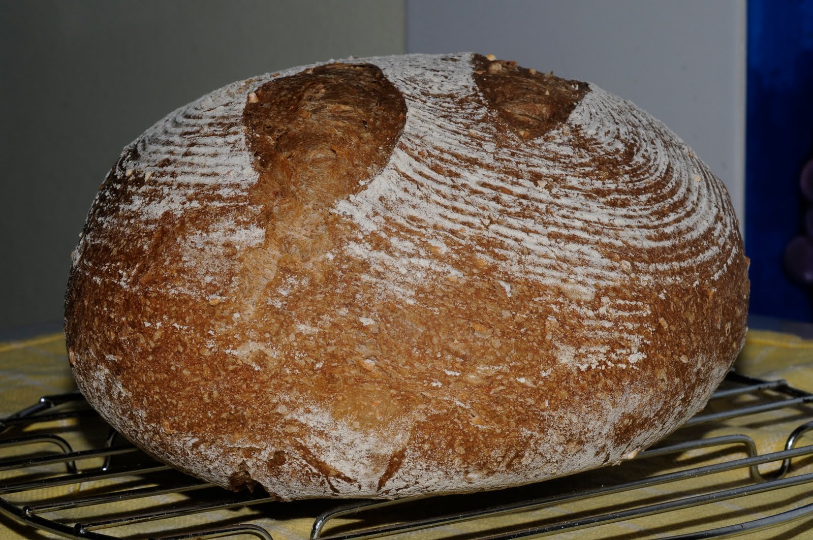 my discovery of Bread Brown Sourdough Mountain