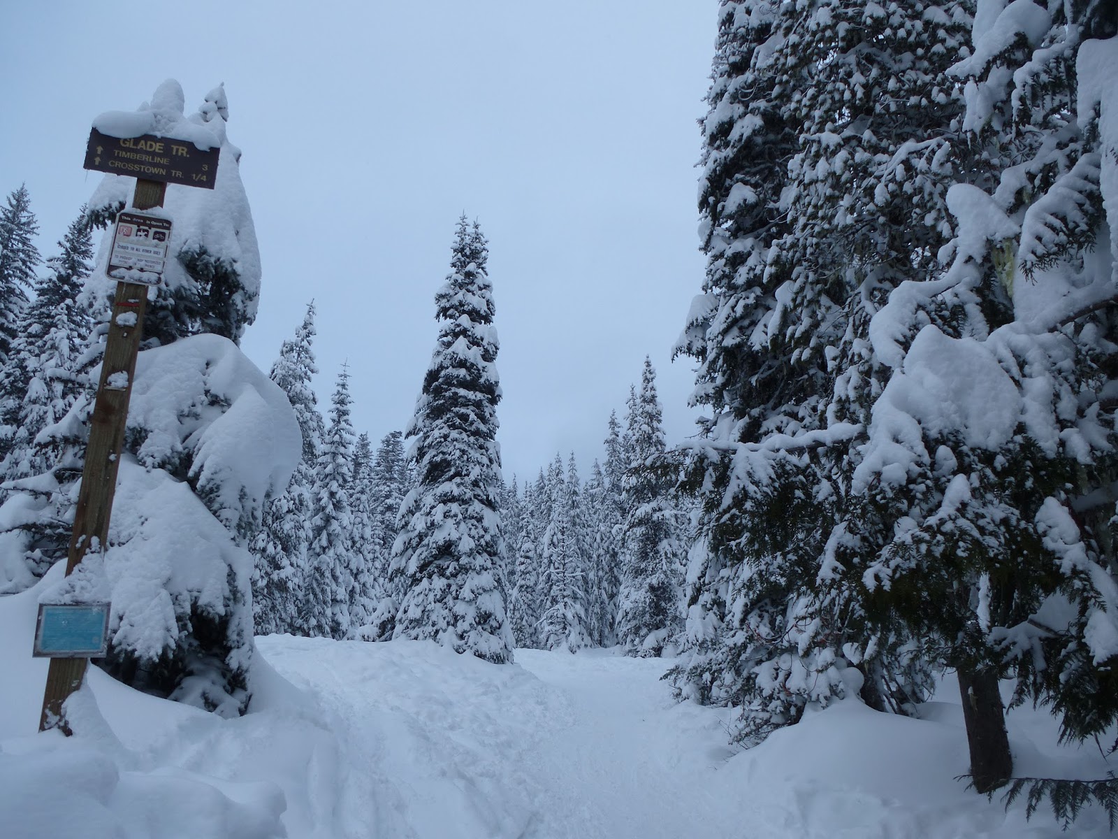 Hiking Oregon Government Camp Snowshoe "Crosstown Trail"