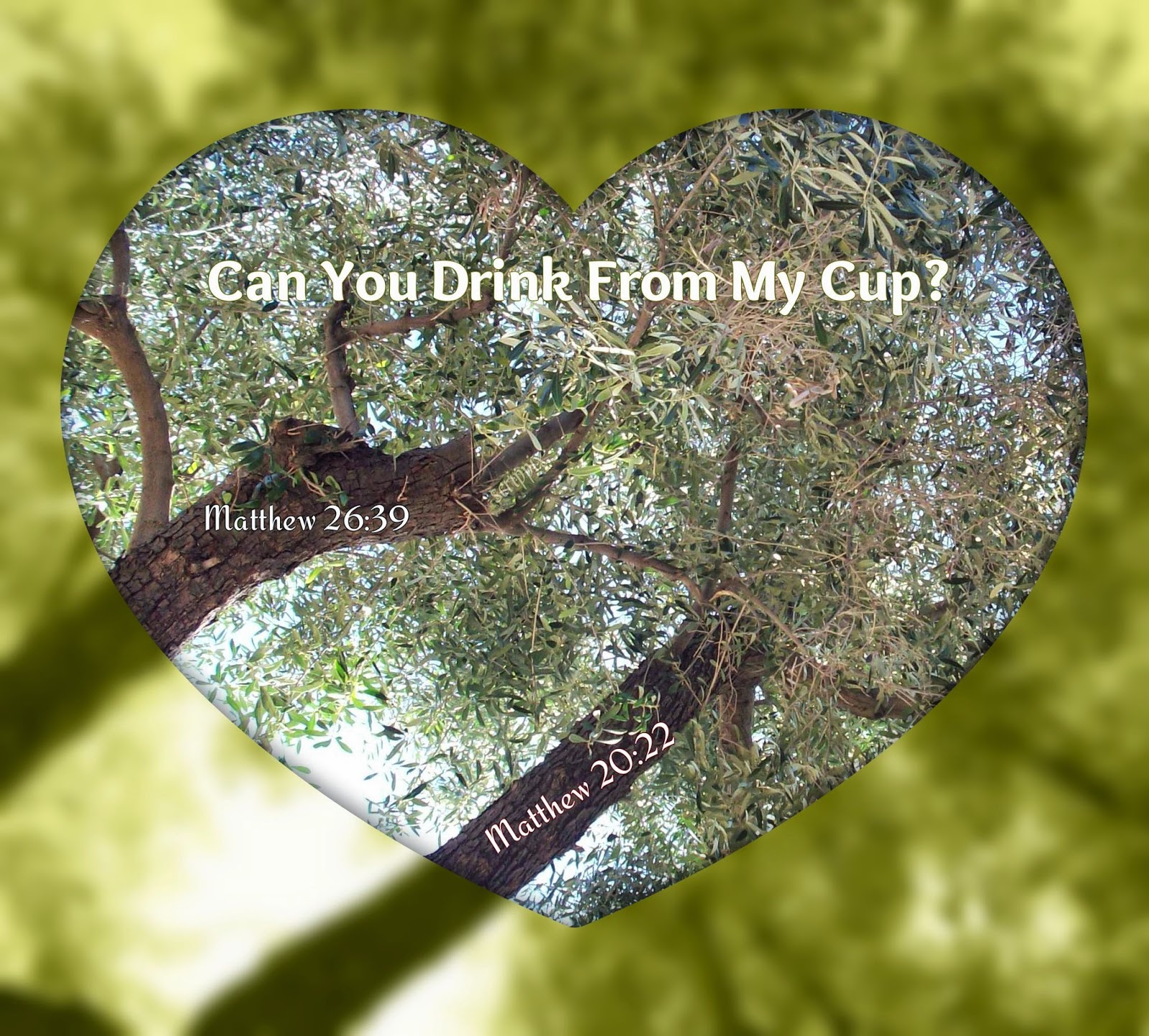 scrippix Can You Drink From My Cup?