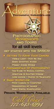 Photography Workshops