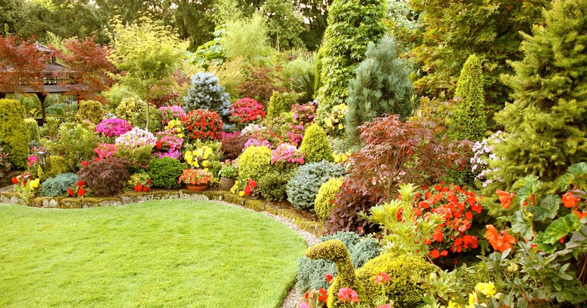 Wallpapers Fair: Lovely Cute Flower Picture Gallery for Flowers Wallpaper