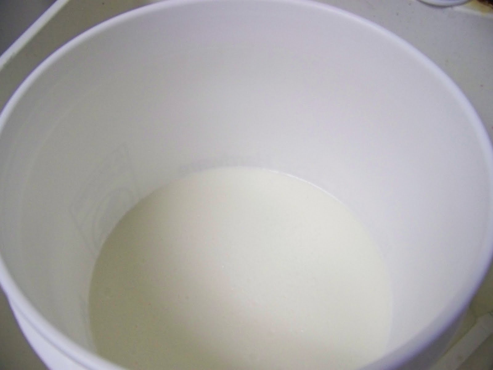 Hickery Holler Farm Homemade Liquid Lard and Lye Laundry Soap.