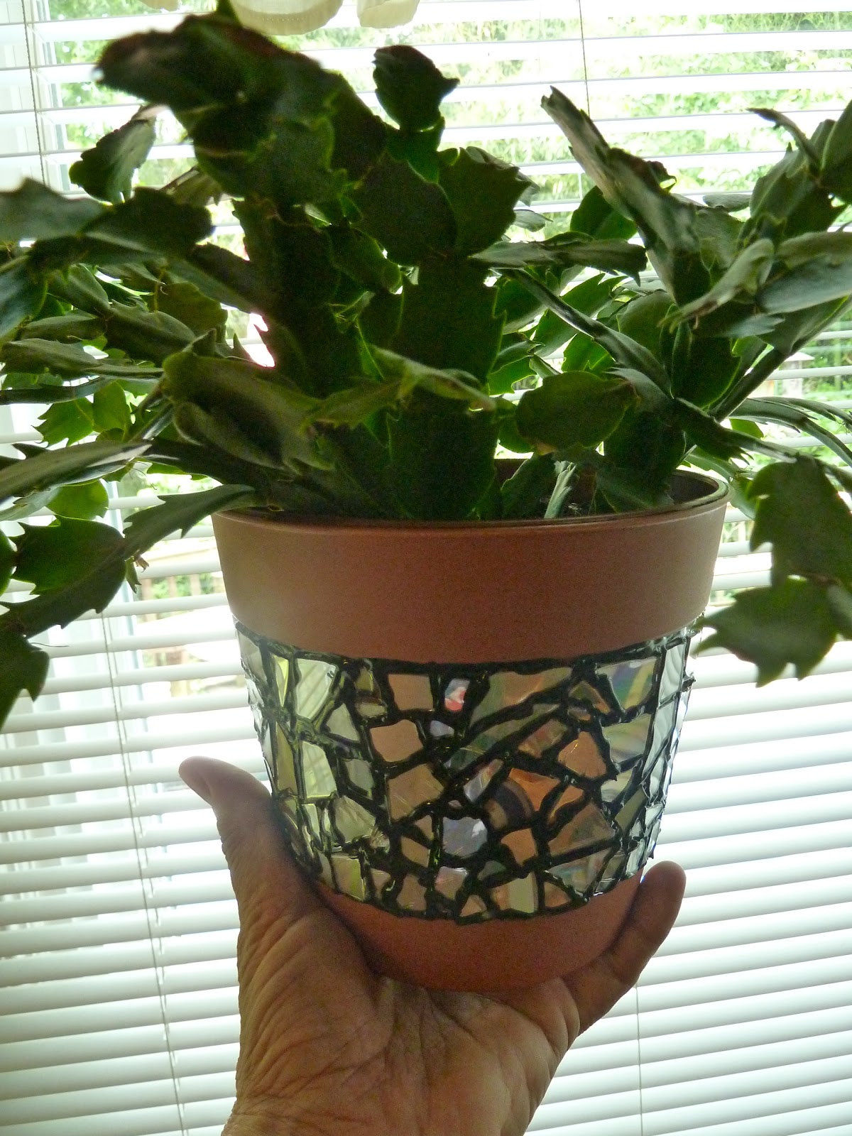 Ask a question: Recycle those plastic bottles which are piling up at home into these DIY crafts using recycled plastic bottles and help save the environment.