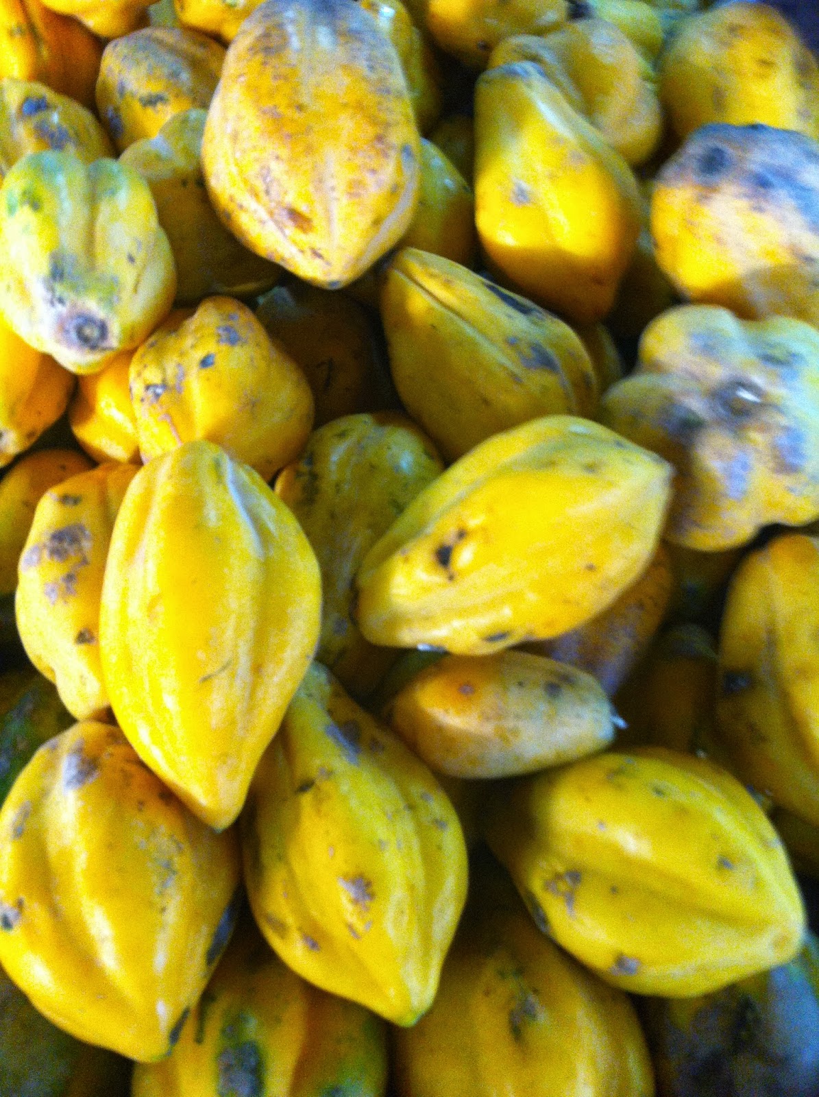 Cocinarte Chile 20150315