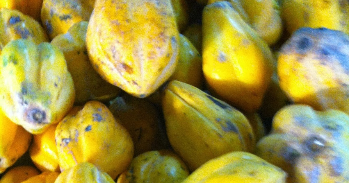 Cocinarte Chile En la ciudad de las papayas, no es tan papaya
