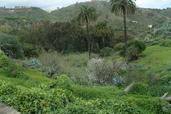 La vega de Valsequillo