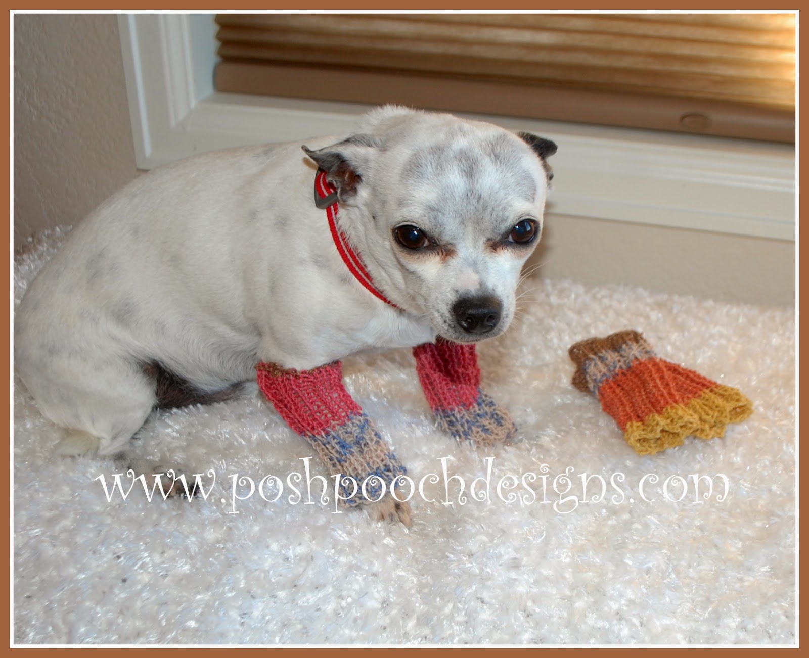 Posh Pooch Designs Dog Clothes Free Knitting Patterns