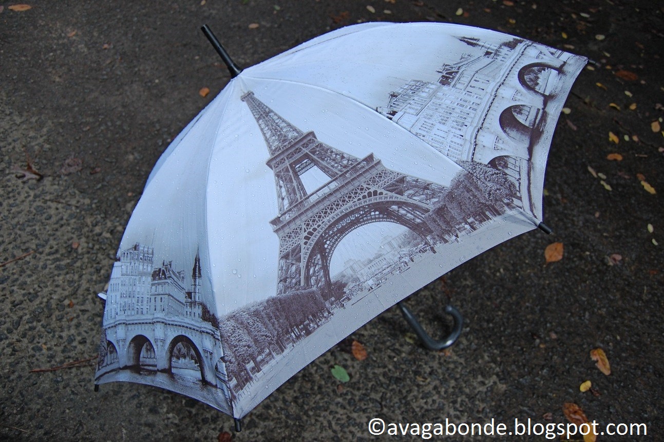 Recollections of a Vagabonde Rain in in Paris and Lisbon