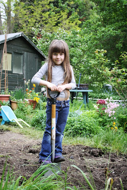 RECIPES FROM THE ALLOTMENT