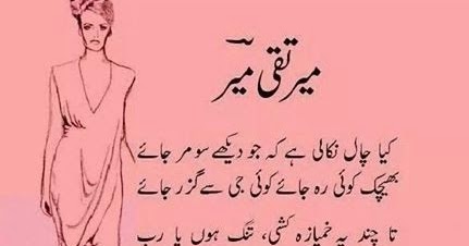 Download Meer taqi meer pics For iPhone Free