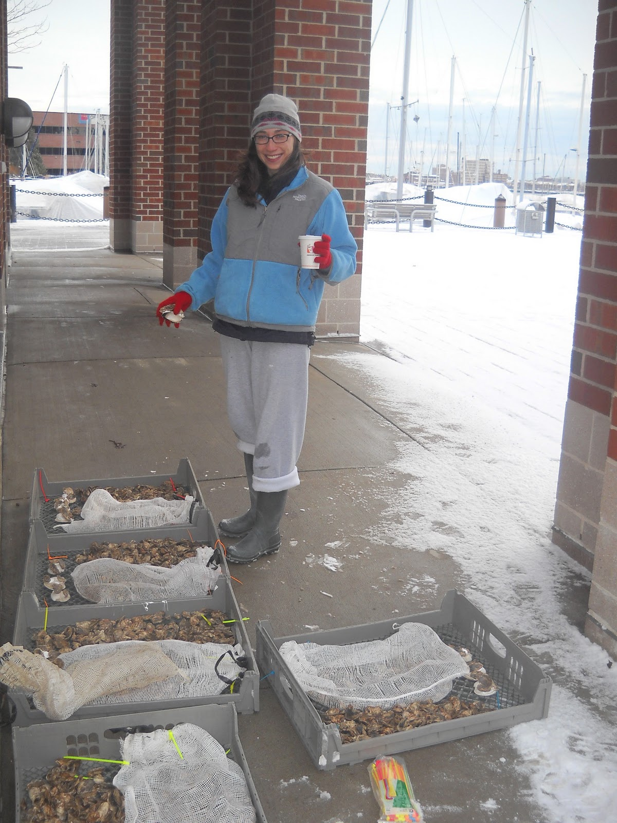 Massachusetts Oyster Project HIstoric Record of Oysters in Boston Harbor Harpoon Oyster Event a