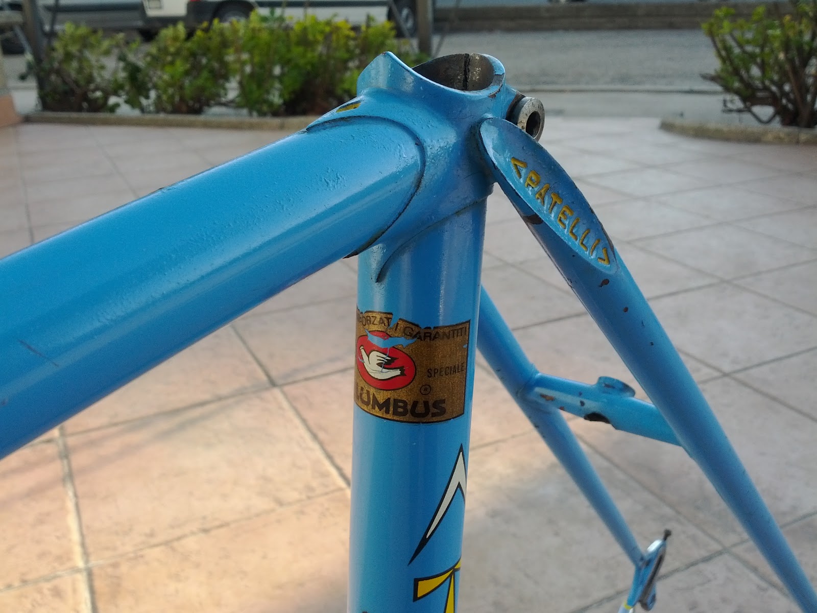 SteveBikes Vintage Italian Racing Bicycles Vintage bikes, frames