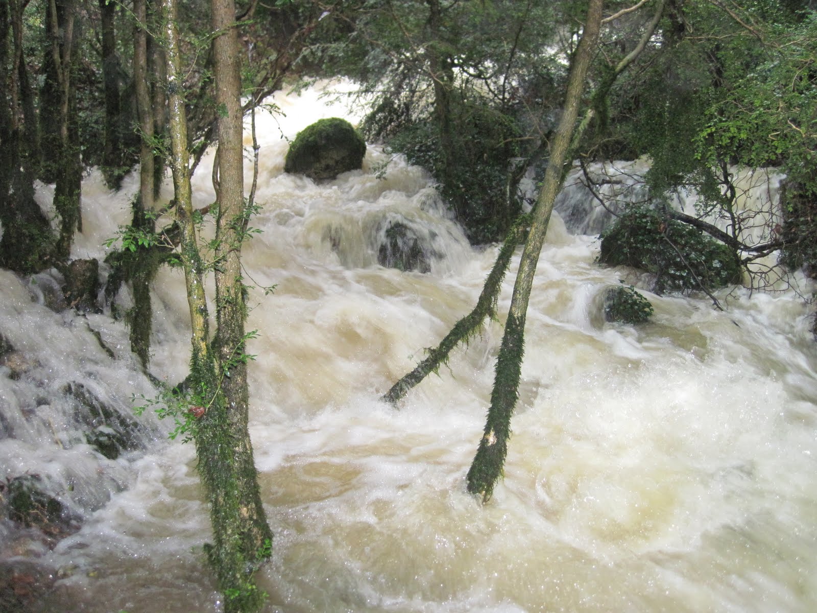 Mateiva Passion Lecture Mars 2019