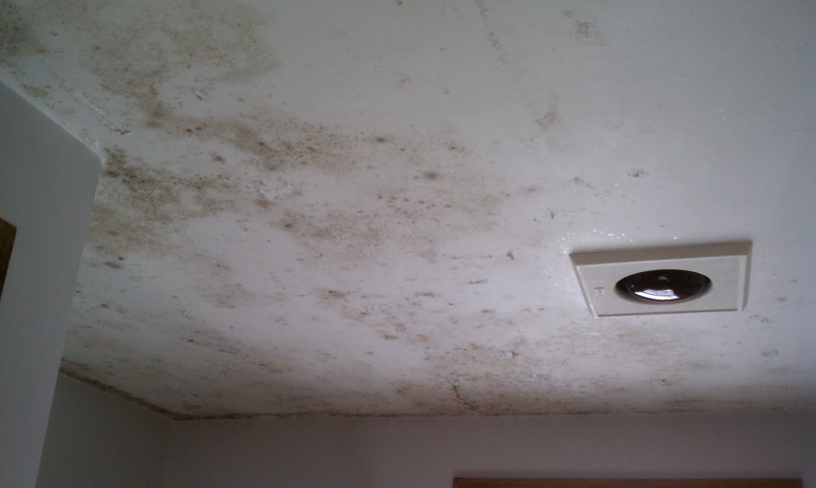 Paint Works Interior Mildew Removal