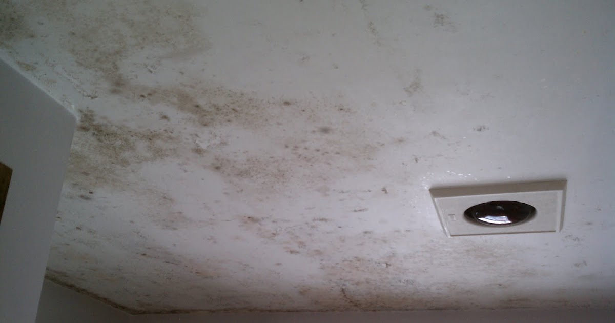 Paint Works Interior Mildew Removal