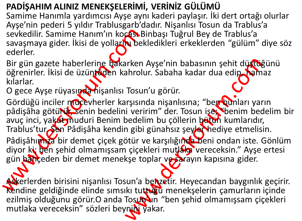 Padisahim Aliniz Menekselerimi Veriniz Gulumu Olay Orgusu Derskonum Com