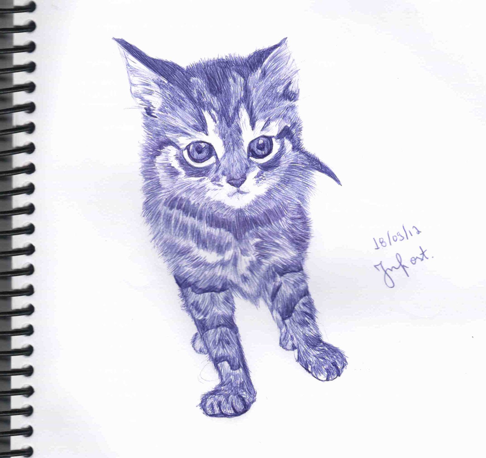 Desenhando um gato realista a caneta 
