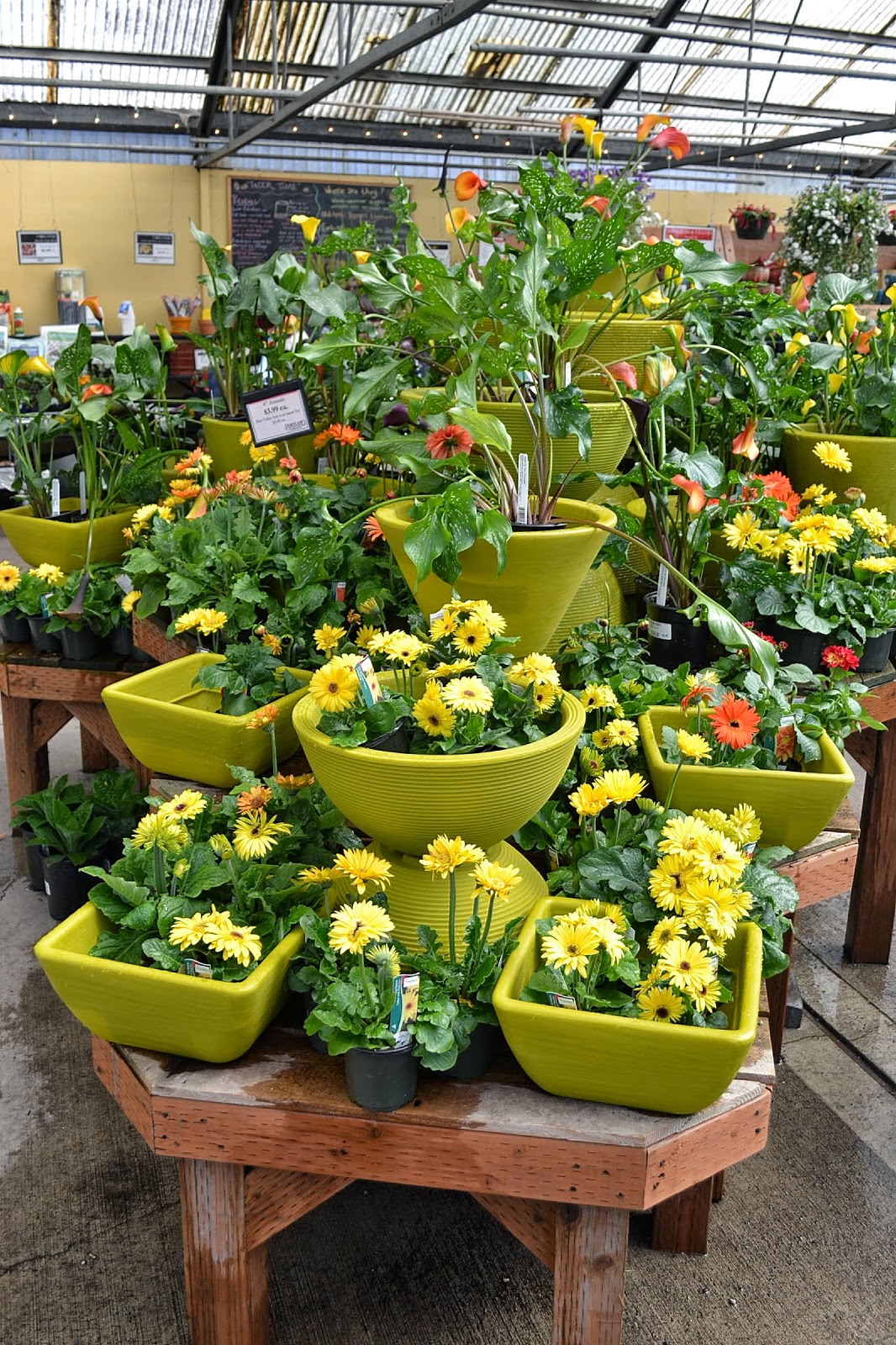 The Outlaw Gardener Portland Nursery Deux Stark Street