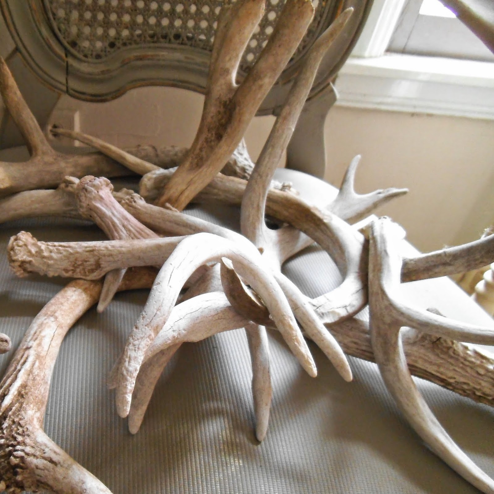 Revisionary Life French Chair Full Of Antlers